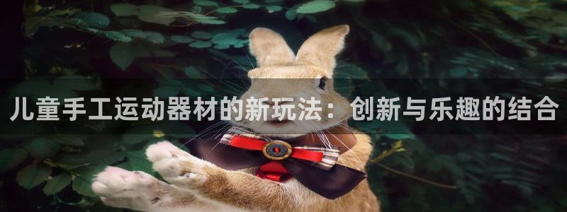 凯捷体育娱乐首页网站大全:儿童手工运动器材的新玩法:创新与乐