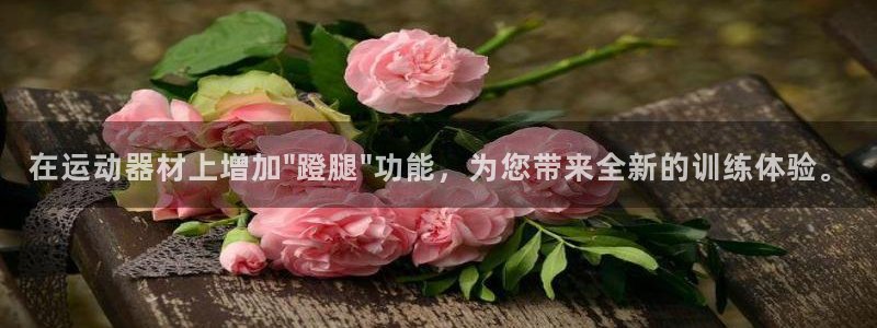 意昂平台体育:在运动器材上增加\