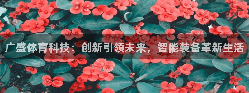 凯捷体育五金厂:广盛体育科技:创新引领未来,智能装备革新生活