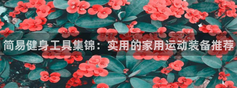 凯捷体育娱乐:简易健身工具集锦:实用的家用运动装备推荐