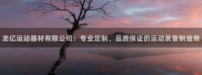 凯捷体育娱乐:龙亿运动器材有限公司:专业定制、品质保证的运动