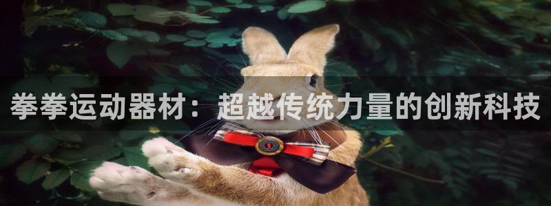 凯捷体育平台注册流程视频:拳拳运动器材:超越传统力量的创新科