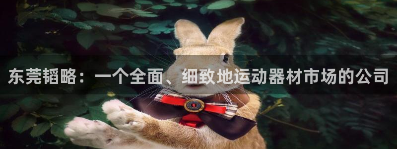 意昂集团官网:东莞韬略:一个全面、细致地运动器材市场的公司