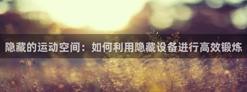 凯捷体育平台注册要钱吗安全吗:隐藏的运动空间:如何利用隐藏设