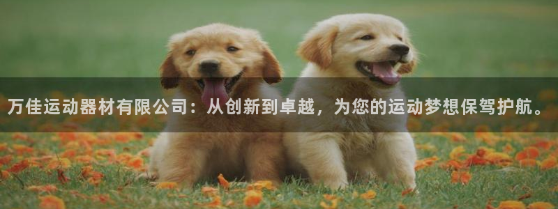 凯捷体育娱乐首页网站大全:万佳运动器材有限公司:从创新到卓越