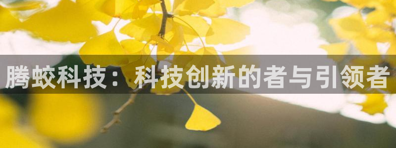 凯捷体育五金厂:腾蛟科技:科技创新的者与引领者